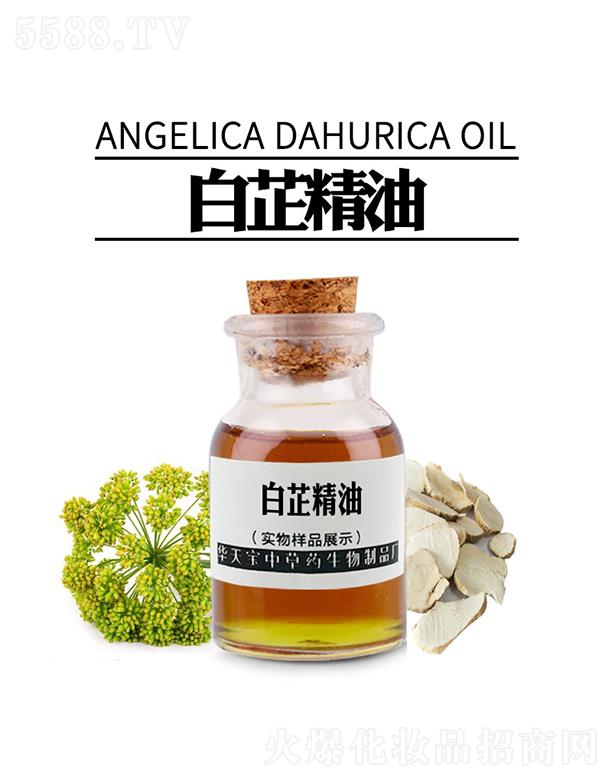 �������A�쌚�в�ˎ������Ʒ�S���A�쌚���ƾ���