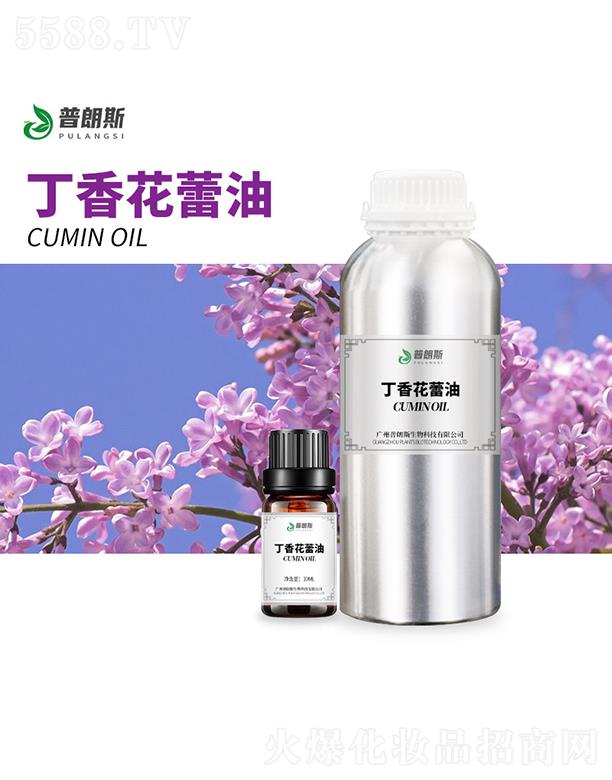 �V������˹����Ƽ����޹�˾������˹���㻨����