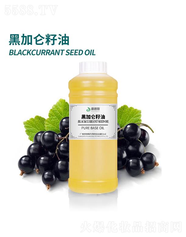 �V������˹����Ƽ����޹�˾������˹�ڼӁ�����