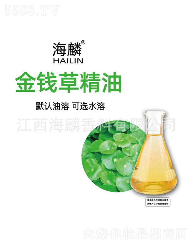 ���������㾫���޹�˾��������X(qi��n)�ݾ���