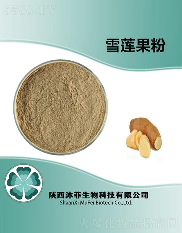 ����������Ƽ����޹�˾�����ѩɏ����