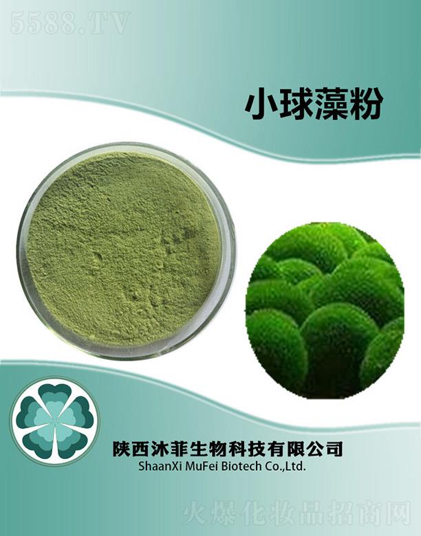 ����������Ƽ����޹�˾�����С�����