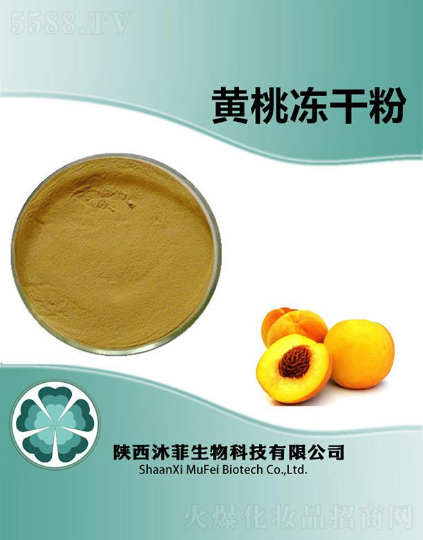 ����������Ƽ����޹�˾������S�҃��ɷ�