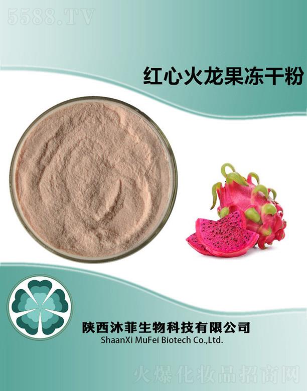 ����������Ƽ����޹�˾����Ƽt�Ļ��������ɷ�