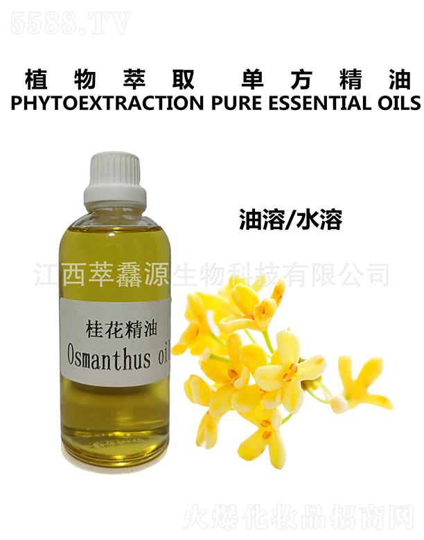 �������QԴ����Ƽ����޹�˾�����QԴ�𻨾���