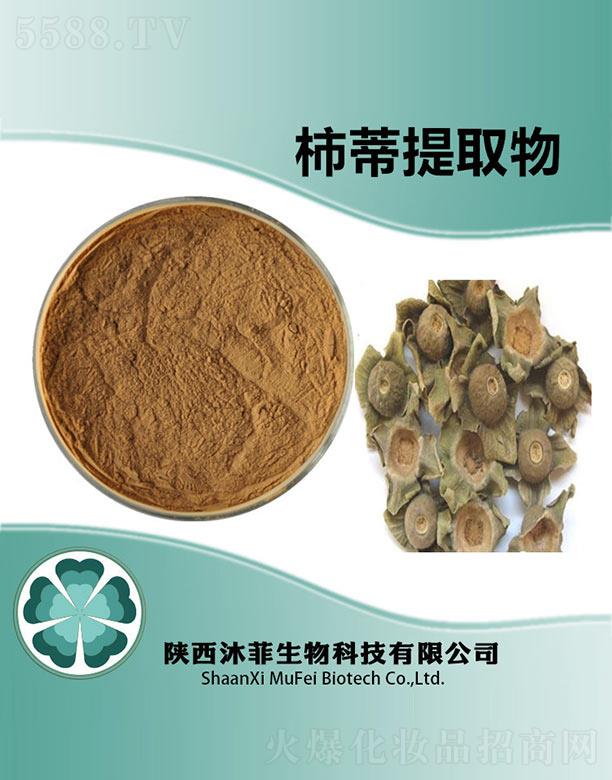 ����������Ƽ����޹�˾�����������ȡ��