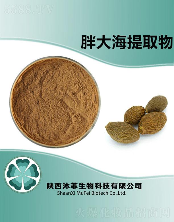 ����������Ƽ����޹�˾������ִ���ȡ��