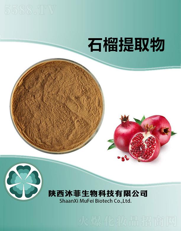 ����������Ƽ����޹�˾�����ʯ����ȡ��