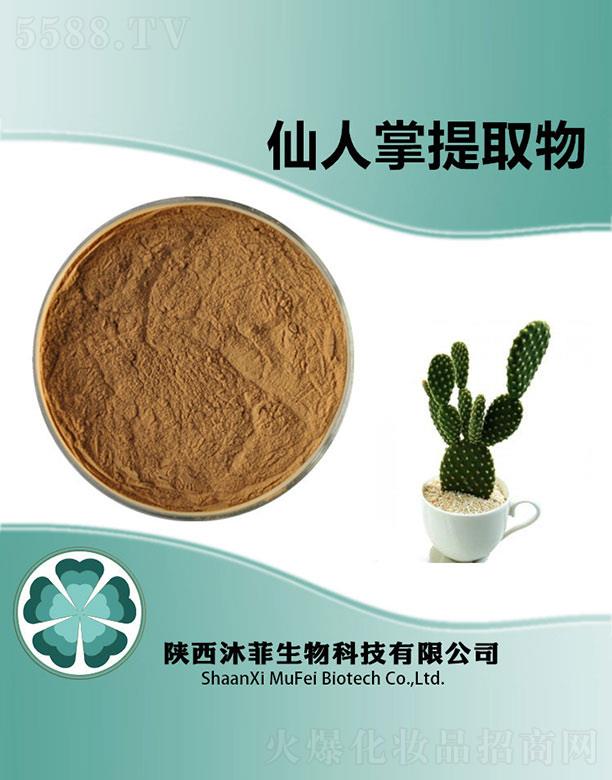 ����������Ƽ����޹�˾�������������ȡ��