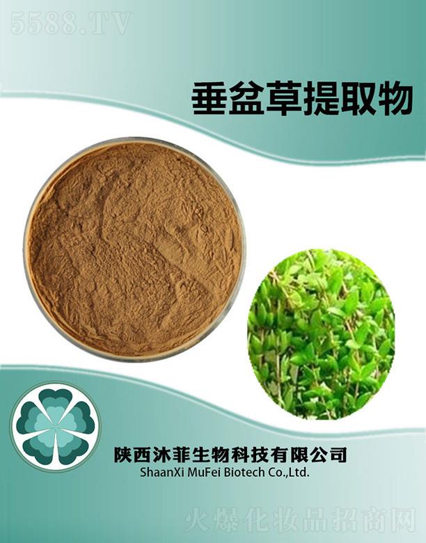 ����������Ƽ����޹�˾����ƴ������ȡ��