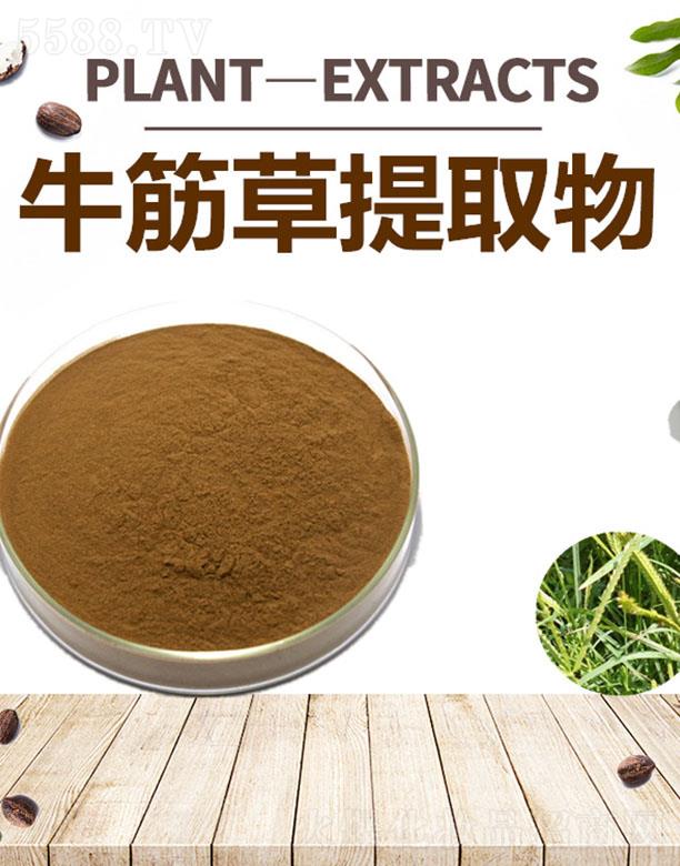 ����ĺ�����Ƽ����޹�˾���ĺ�ţ�����ȡ��