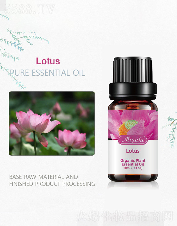 �V���׋I����Ƽ����޹�˾��ɏ������