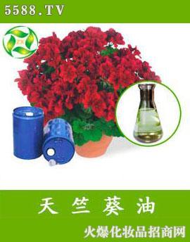 �������ÿ���