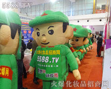 ��ݰ���Ě�ģ������