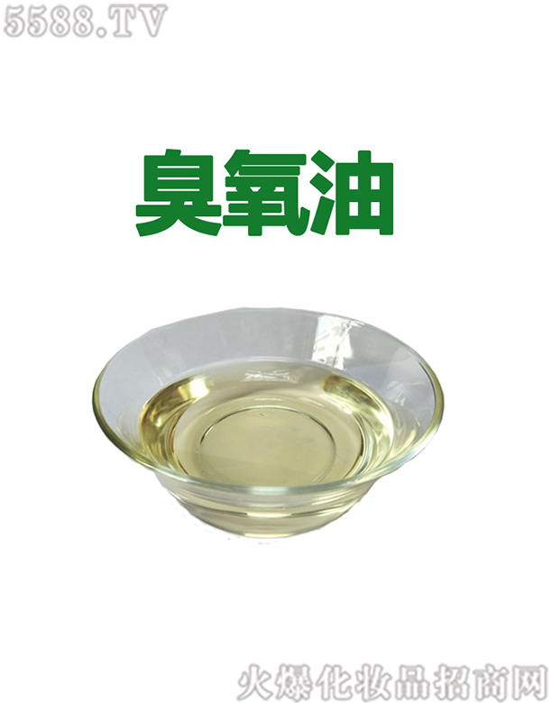 ����ݳ�����