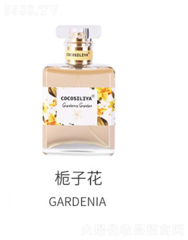 cocosiliya������ˮ-�d�ӻ�