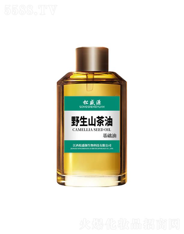 ��ʢԴҰ��ɽ����