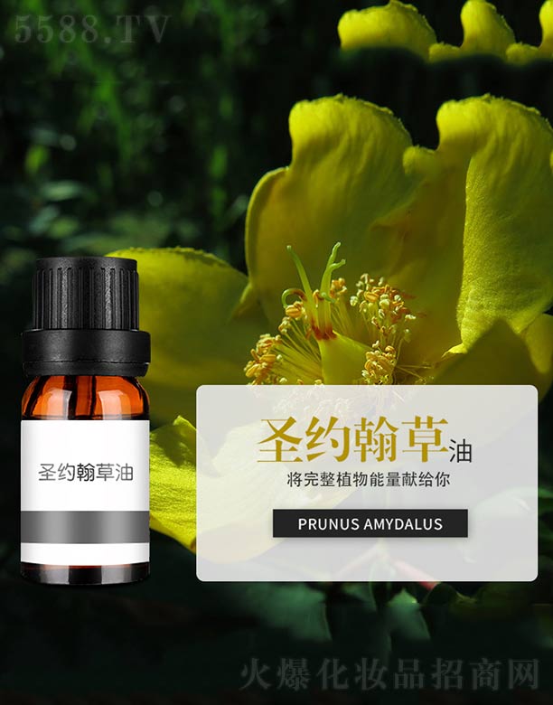 ʥ�s������