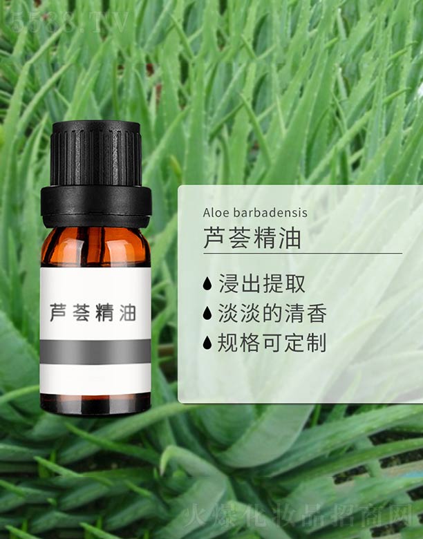 �J�C����