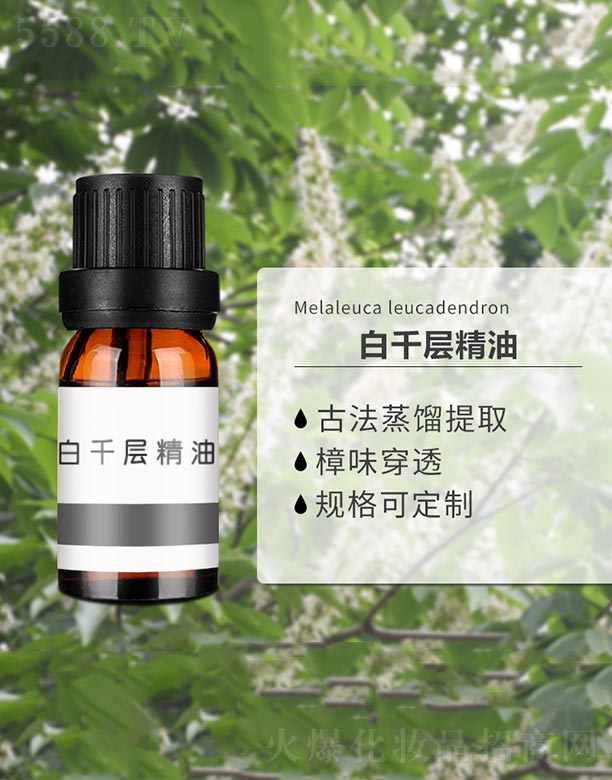 ��ǧ�Ӿ���