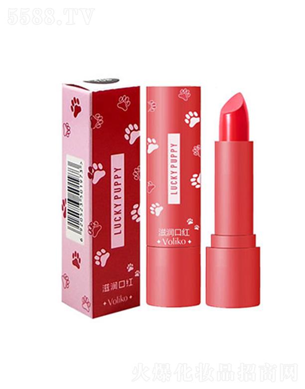 LUCKY PUPPY �̝�(r��n)�ڼt