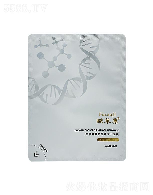 xݼ杙(rn)Ĥ