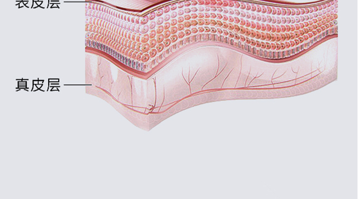 �������o(h��)��Ĥ_13