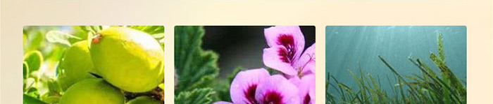 �wʿ�_��Ч���o�澏���AҺ