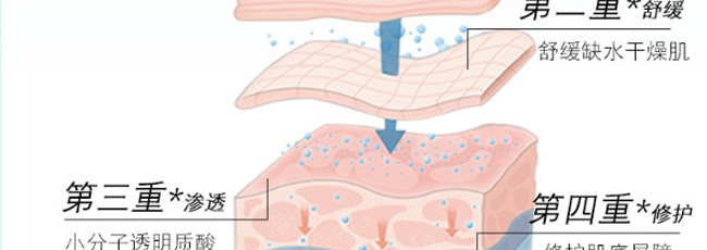 �Z�����Ч���B(y��ng)��Ĥ