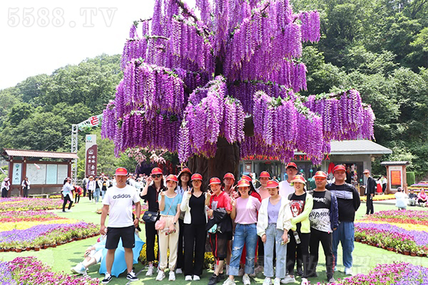 ���h(yu��n)��Ҫͣ���Լ��ʵǵ��_��